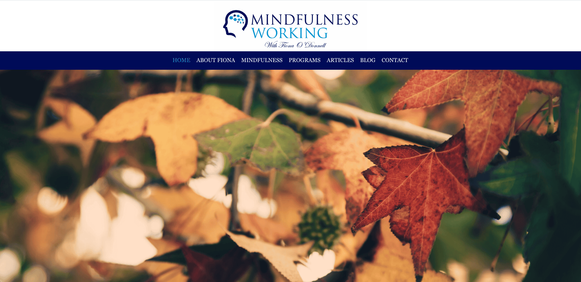 Mindfulness Working Mindfulness Working